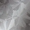 Sycamore