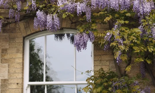 The Complete Guide To Double Glazing